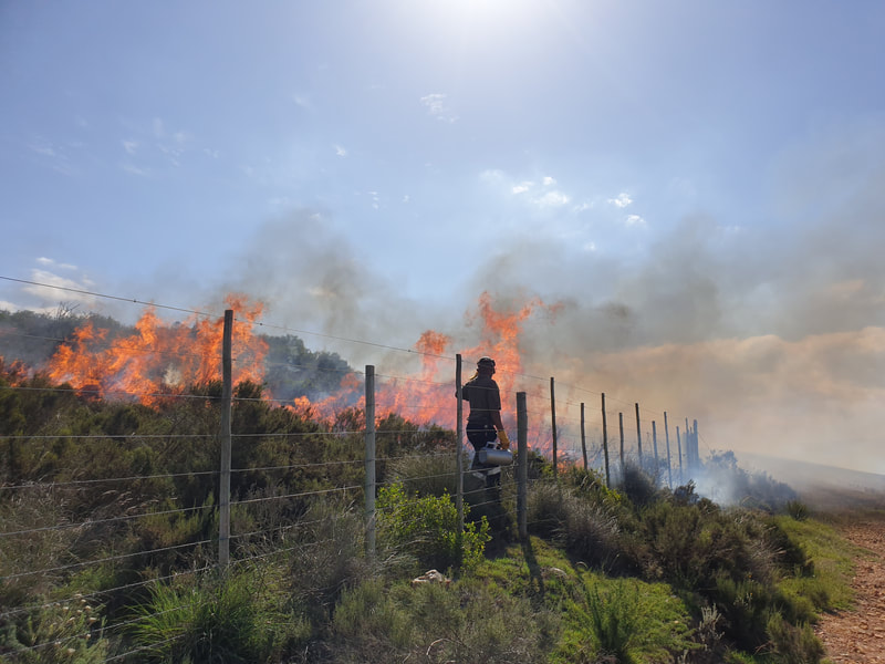 A controlled burn successfully completed in March 2020