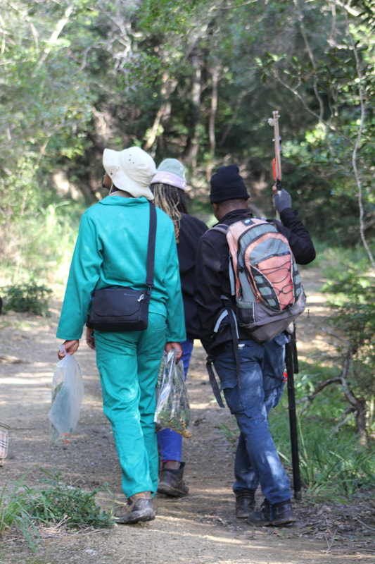 SANBI and GVB members walking the trails