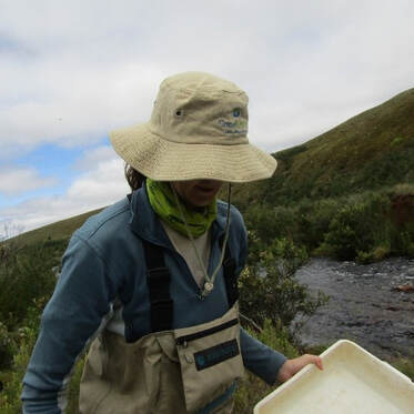                                       Jeanne Gouws doing freshwater monitoring in the river sites.